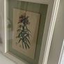Print -Drogheda Image 2