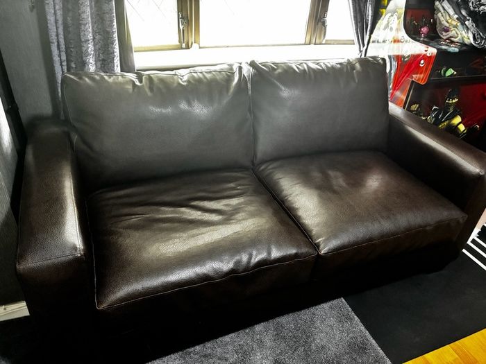 leather sofa bed