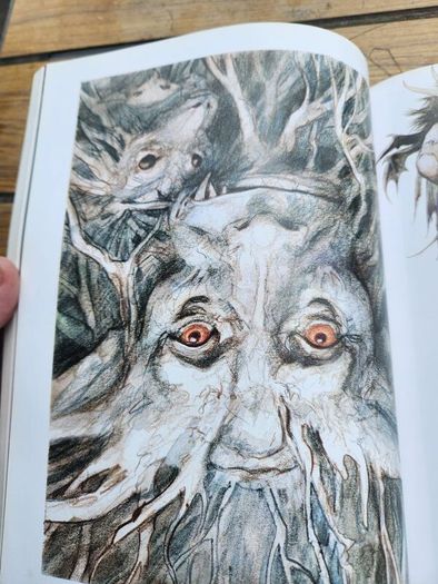 Good Faeries Bad Faeries. By Brian Froud. Edited By  Terri Windling. First Edition Large Volume Paperback In Very Good Condition.