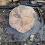 slabs Image 5
