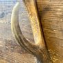 Vintage Deer Antler Image 7