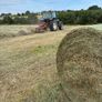 Organic Meadow hay Image 2