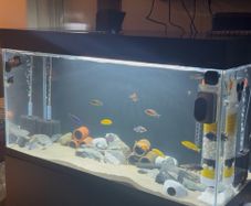 Aquarium