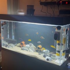 Aquarium
