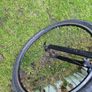 bike Image 6