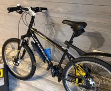 custom orbea