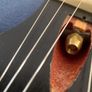 Gibson Gary Moore BFG Image 3