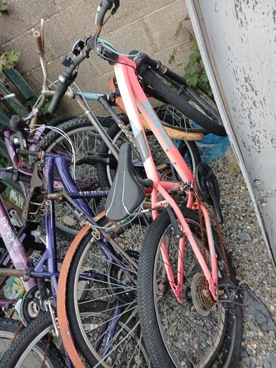 bikes