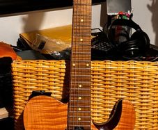Harley Benton Fusion T