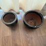 Plant pots, bamboo canes and perlite Image 4