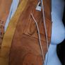 Vintage Airplane Life Jacket Image 4