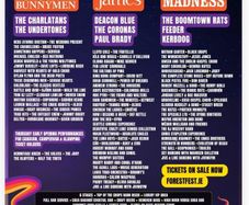 Forest Fest Campervan weekend pass