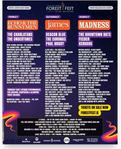 Forest Fest Campervan weekend pass