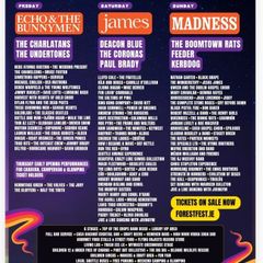 Forest Fest Campervan weekend pass