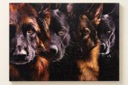 Four Dog Portrait Canvas Print 40cm x 30cm