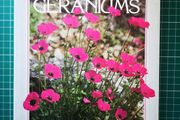 Hardy Geraniums YEO, Peter Published by Croom Helm in 1985