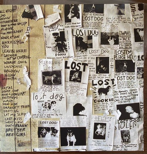 Pearl Jam - Lost Dogs
