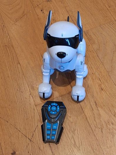 Robodog