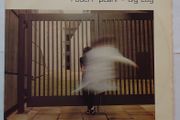 Robert Plant - Big Log - 12" Vinyl