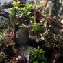 fluval flex Image 5