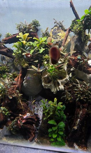 fluval flex