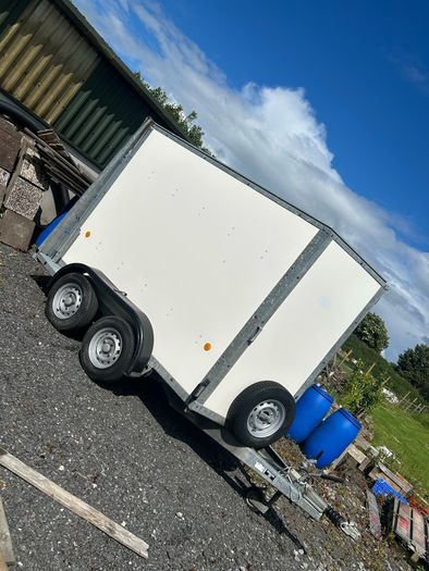 iforwilliams box trailer with rear roller door