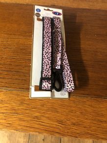Dog collar &lead set