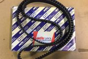 Timing Belt (Fiat Tipo Diesel)