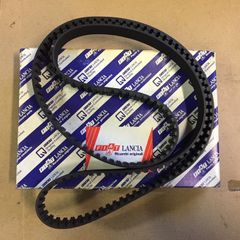 Timing Belt (Fiat Tipo Diesel)