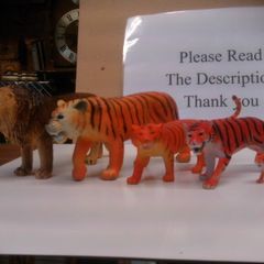 animals