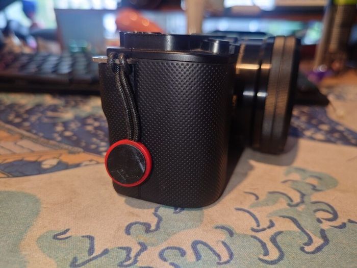 Sony ZV-E10 With selp1650 and wind buff