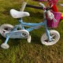 bike 12" Image 2