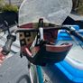Bike Image 4