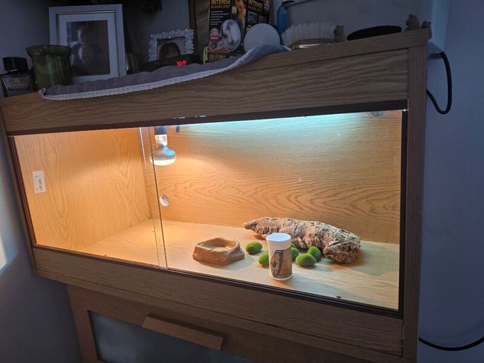 Terrarium
