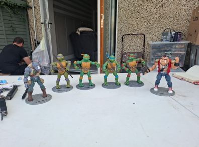 tmnt 2012 shell heroes