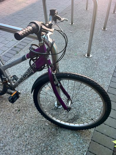 goldrush bike