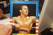 WWE Dynamite Kid Rookie Card - WWF