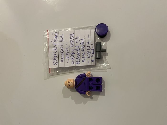 Lego Stanley minifigure