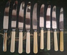 Faux Bone Handle Dinner Knives