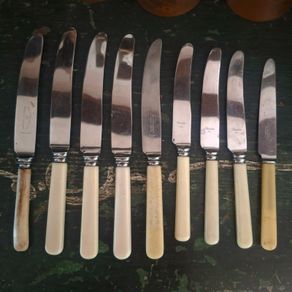 Faux Bone Handle Dinner Knives