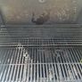 Bbq Image 3