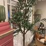 Very large beautiful faux olive tree Image 4