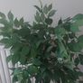 Artificial Tree/Plant Image 2