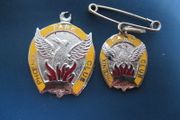 Phoenix Park Races Badges X 2