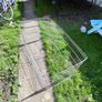 puppy play pen Image 2