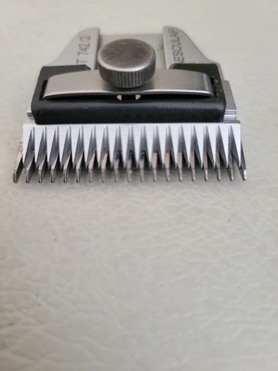 dog grooming