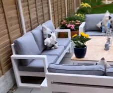 Outdoor cushions