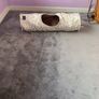 Cat tunnel Image 2
