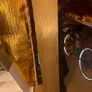floor lamp Image 6