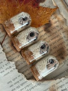 Miniature Captured Spirits in Glass Domes